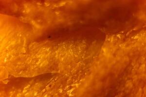 French baguette bread crustacean macro closeup. Texture backgrou photo