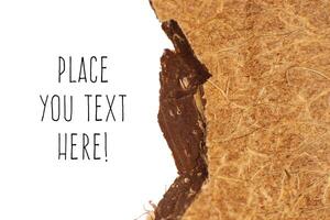 Coconut Nut Fibers Surface Texture. Natural Tropical Background. Place for Text. Macro Closeup. photo