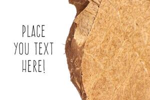 Coconut Nut Fibers Surface Texture. Natural Tropical Background. Place for Text. Macro Closeup. photo