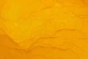 Dried Apricot Texture Surface. Warm Nature Organic Background. Macro Closeup. photo