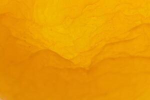 Dried Apricot Texture Shape. Warm Nature Organic Background. Macro Closeup. photo