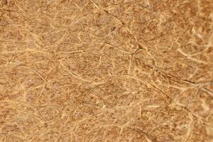Coconut Nut Fibers Surface Texture. Natural Tropical Background. Macro Closeup. photo