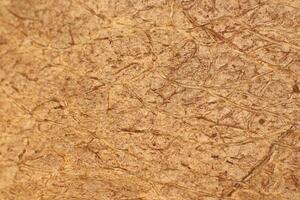 Coconut Nut Fibers Surface Texture. Natural Tropical Background. Macro Closeup. photo
