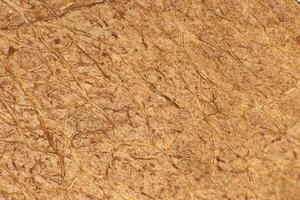 Coconut Nut Texture. Natural Tropical Background. Macro Closeup. photo