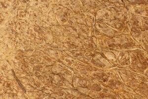 Coconut Nut Fibers Surface Texture. Natural Tropical Background. Macro Closeup. photo