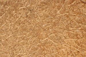 Coconut Nut Fibers Surface Texture. Natural Tropical Background. Macro Closeup. photo