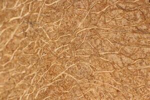 Coconut Nut Fibers Texture. Natural Tropical Background. Macro Closeup. photo