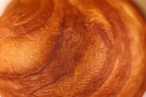 Forest Hazelnut Nut Texture Surface. Macro Closeup. Natural Orga photo