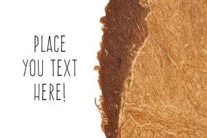 Coconut Nut Fibers Surface Texture. Natural Tropical Background. Place for Text. Macro Closeup. photo
