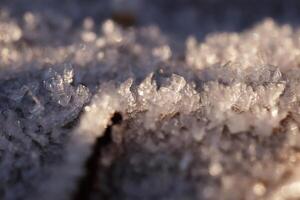 Frosted Leaf Surface Texture. Frost Ice on Forest Morning. Natur photo