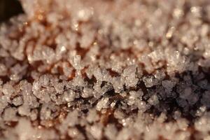Frosted Dry Leaf Surface Texture. Frost Ice on Forest Morning. Natural Floral Pattern Background. Macro Closeup. photo