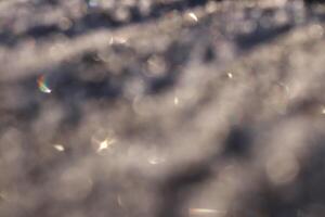 Blurred Icy Tree Surface Background Texture. photo