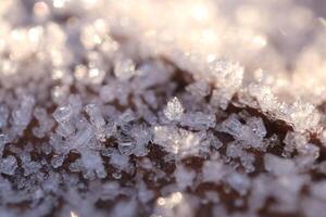 Frosted Dry Leaf Surface Texture. Frost Ice on Forest Morning. Natural Floral Pattern Background. Macro Closeup. photo