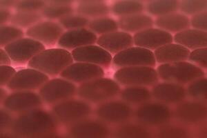 Red Foam Plastic Texture. Abstract Styrofoam Background. Macro Closeup. photo