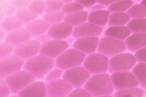 Pink White Foam Plastic Texture photo
