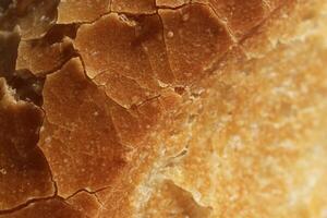 Fresh French Roll Baguette Texture. Crust of Bread Food Background. Macro Closeup. photo