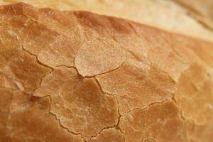 Crust of Bread Food Background. Macro Closeup. photo