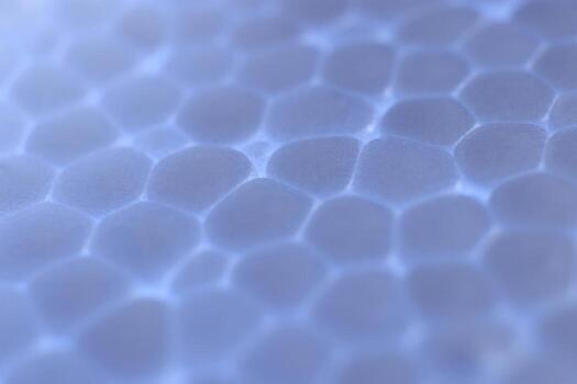 Dark Blue Foam Plastic Texture. Abstract Styrofoam Background. Macro Closeup. photo