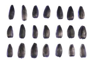 Sunflower Seeds Pattern. Isolated Background. Detailed Texture. Macro Closeup. Landscape Orientation Poster. photo