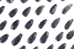 Sunflower Seeds Pattern. Isolated Background. Detailed Texture. Macro Closeup. Portrait Orientation Poster. photo