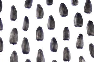 Sunflower Seeds Pattern. Isolated Background. Detailed Texture. Macro Closeup. Landscape Orientation Poster. photo