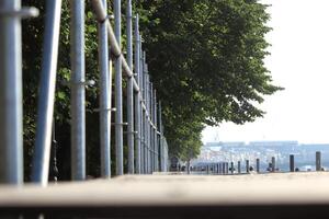 Tribune forests on the embankment of the river photo