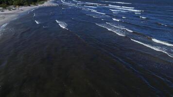 An aerial view of a beach with waves coming in video