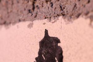 Black Resin on White Brick with Concrete Layer. Macro Closeup. photo