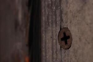 Rust Screw in Weathered Painted Door. Macro Closeup. photo