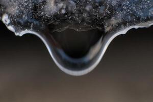 Cold clear rain drop with ice reflection inside. Handing down water drop from ice top. Macro closeup. photo