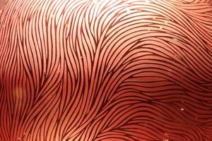 Red composition of multiple directional lines. Crystal, sandblasting, matting. photo