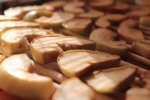 Sweet healthy dried apples. Dry apples stack. Macro closeup. photo