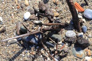 Weathered garbage on the beach. photo
