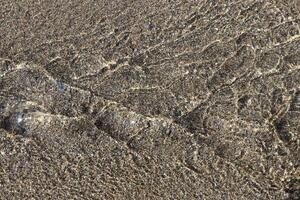 Clear stream with sand on background photo