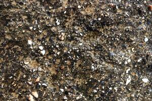 Sea cliff texture. Nautical rock background. photo