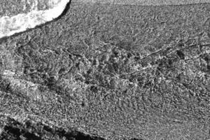 Clear stream with sand on background. Black and white. photo