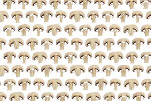 Many champignon slices pattern. Delicious natural texture. Healthy vegetarian background. Landscape orientation. Horizontal derection. photo