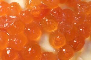 Red caviar on bread and butter. Macro closeup. photo