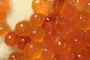 Red caviar on bread and butter. Macro closeup. photo