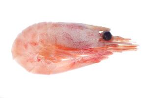 Cooked prawn snack. Isolated boiled shrimp. photo