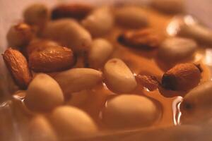 Seeds of cedar cones in honey photo