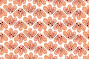 Isolated boiled shrimps background. Cooked prawns snack pattern. photo