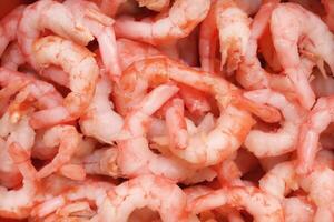 Boiled peeled shrimps meat texture. Prawns snack filling background. photo