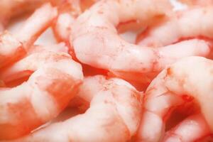Prawns filling background. Boiled peeled shrimps texture. Macro closeup. photo