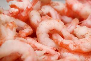 Boiled peeled shrimps texture. Prawns filling background. Macro closeup. photo
