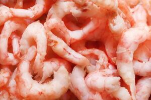 Boiled peeled shrimps texture. Prawns filling background. photo