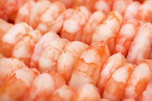 Rows of peeled boiled shrimp texture. Many cooked prawns background. photo