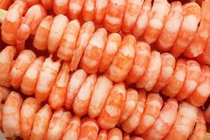 Rows of peeled boiled shrimp filling texture. Many cooked prawns background. photo