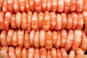Many cooked prawns background. Rows of peeled boiled shrimp filling texture. photo
