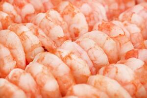 Many cooked prawns background. Rows of peeled boiled shrimp texture. photo